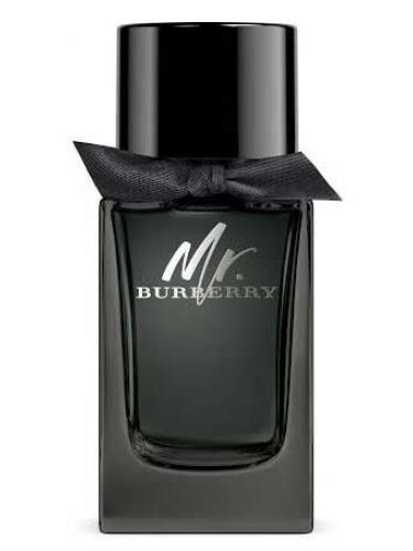 profumo mr burberry prezzo|Mr. Burberry di Burberry da uomo .